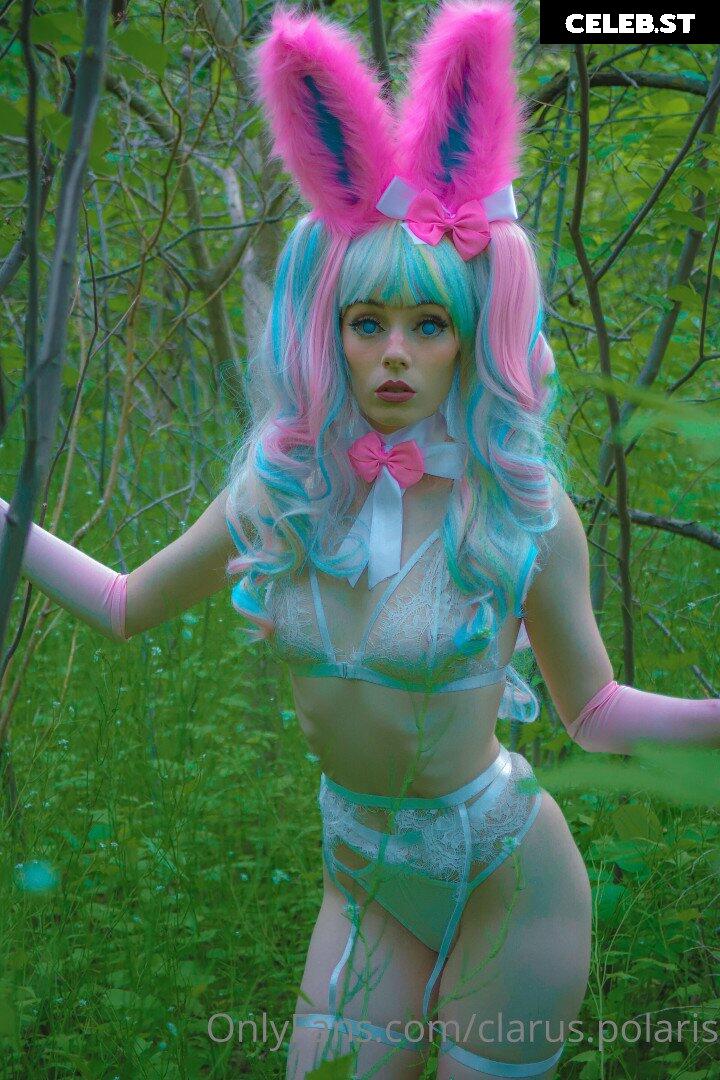 Clarus Polaris Image 4053750