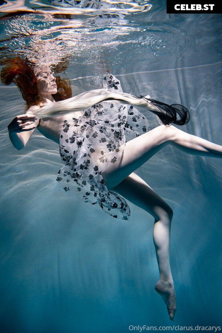 Clarus Polaris Image 4053129