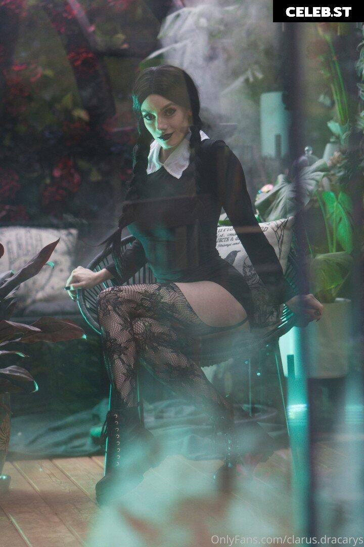 Clarus Polaris Image 4053244