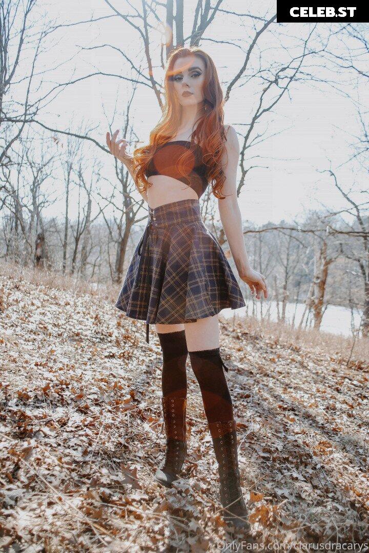 Clarus Polaris Image 4059476