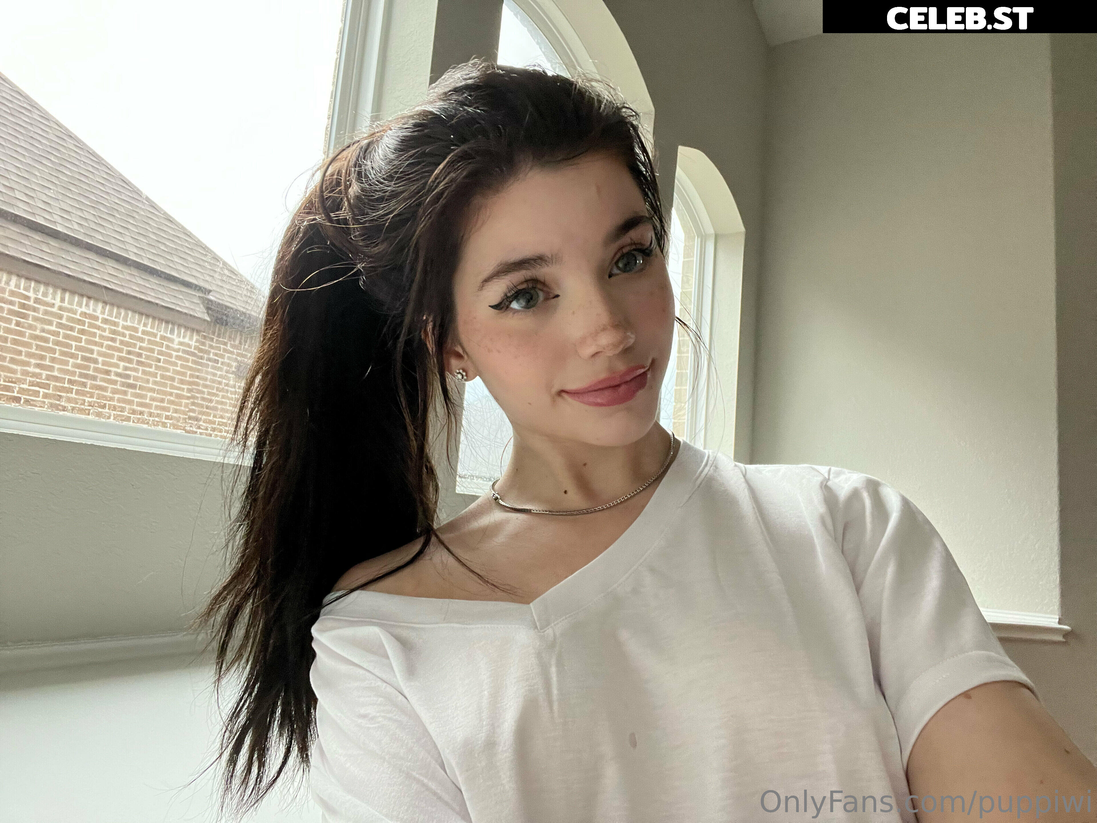 Grinchie/puppiwii Image 4045523