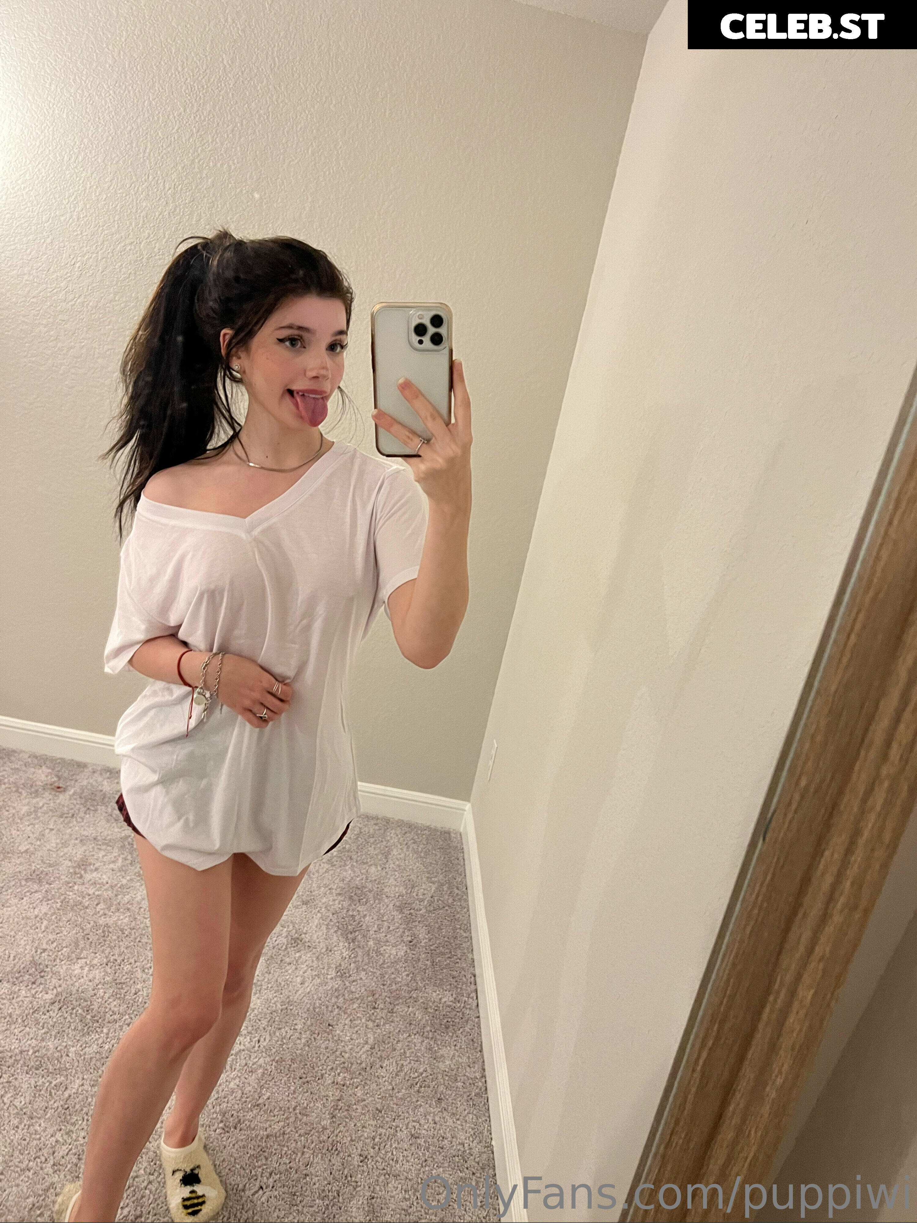 Grinchie/puppiwii Image 4045670