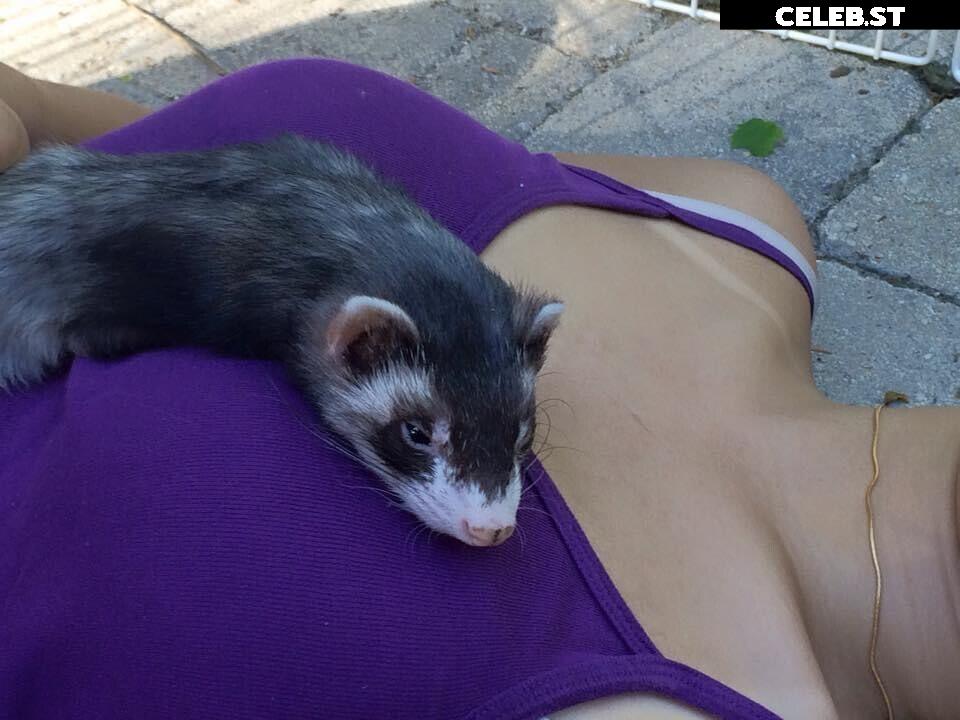 Caroandlace Image 4045223