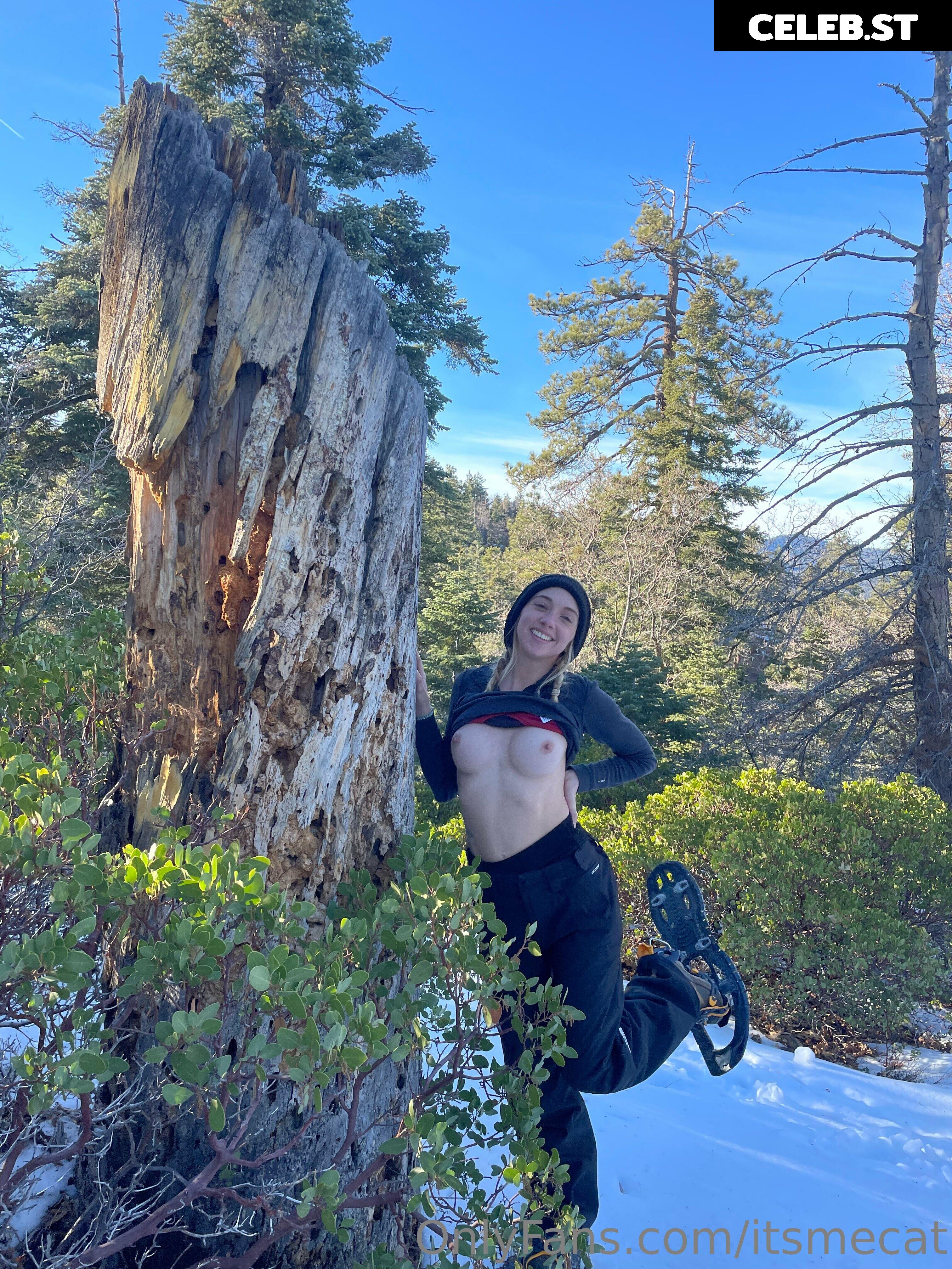 itsmecat / slipsissored / sillycatcat Image 4041116