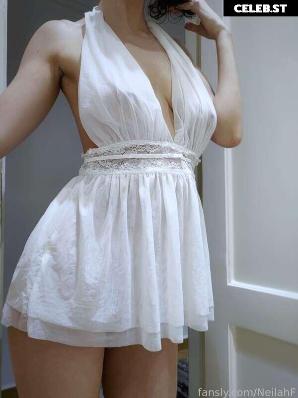 Neilahf Image 4040264