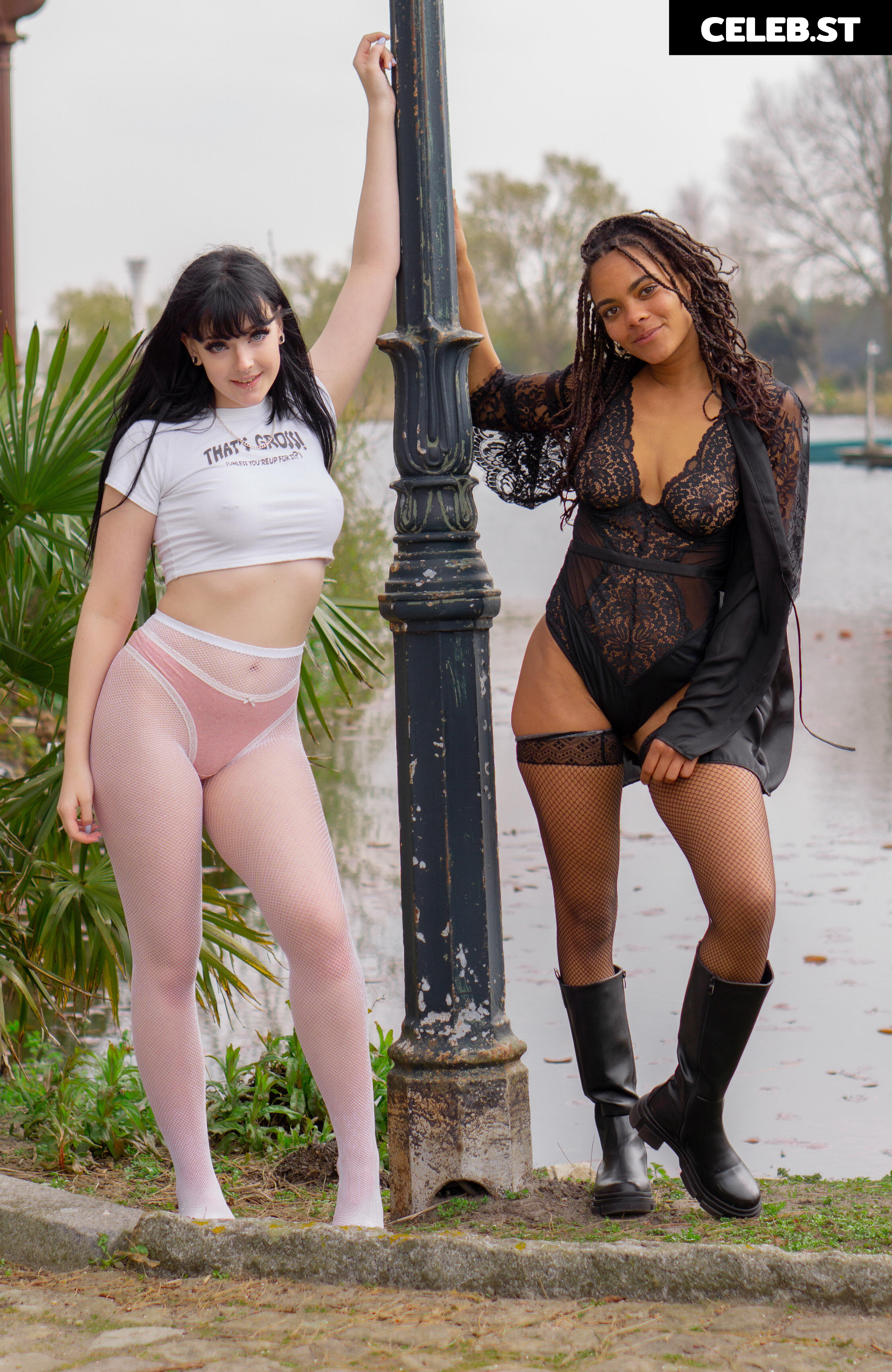 FeyaFern Image 4009842