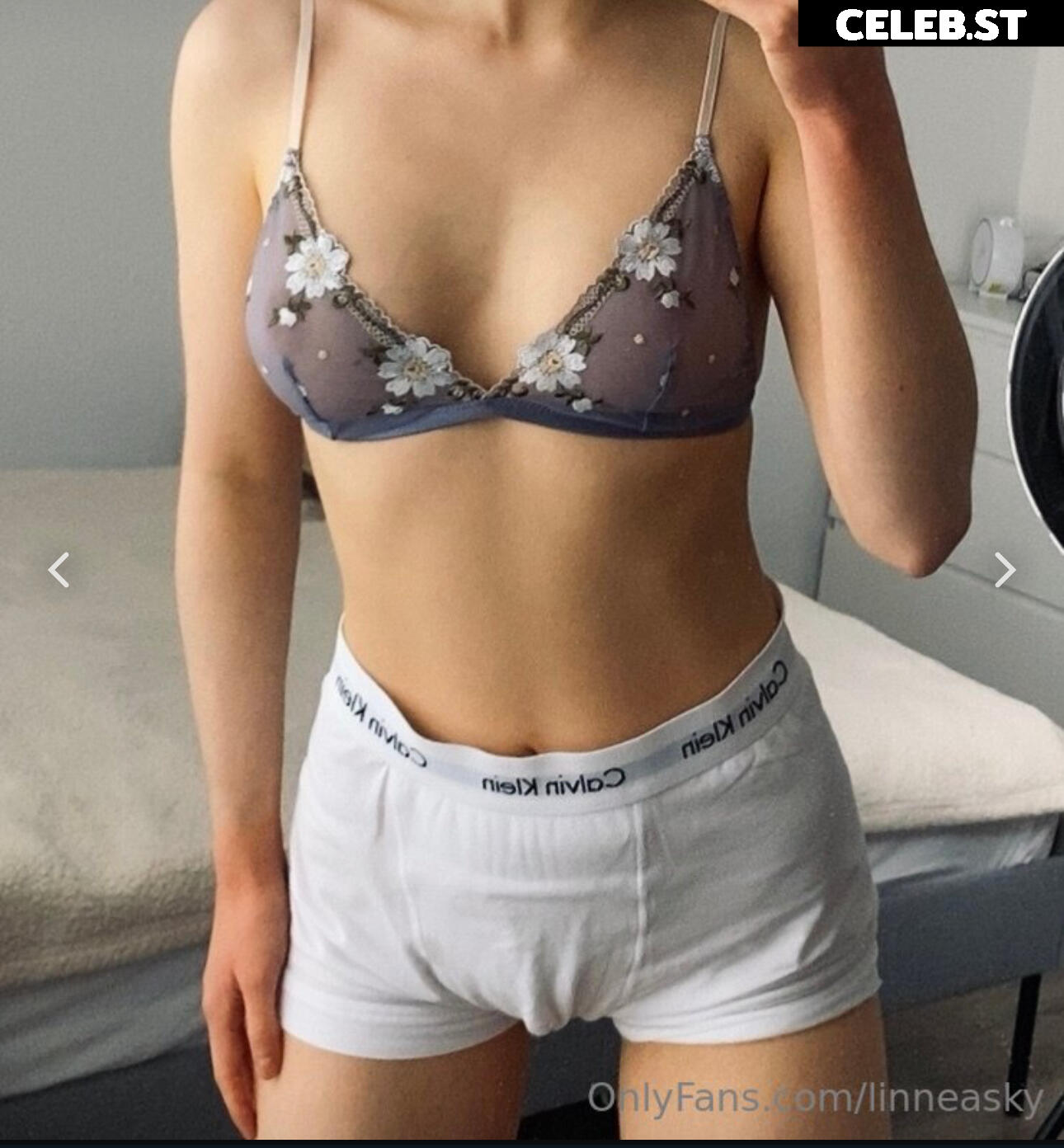 Linneasky Image 717013