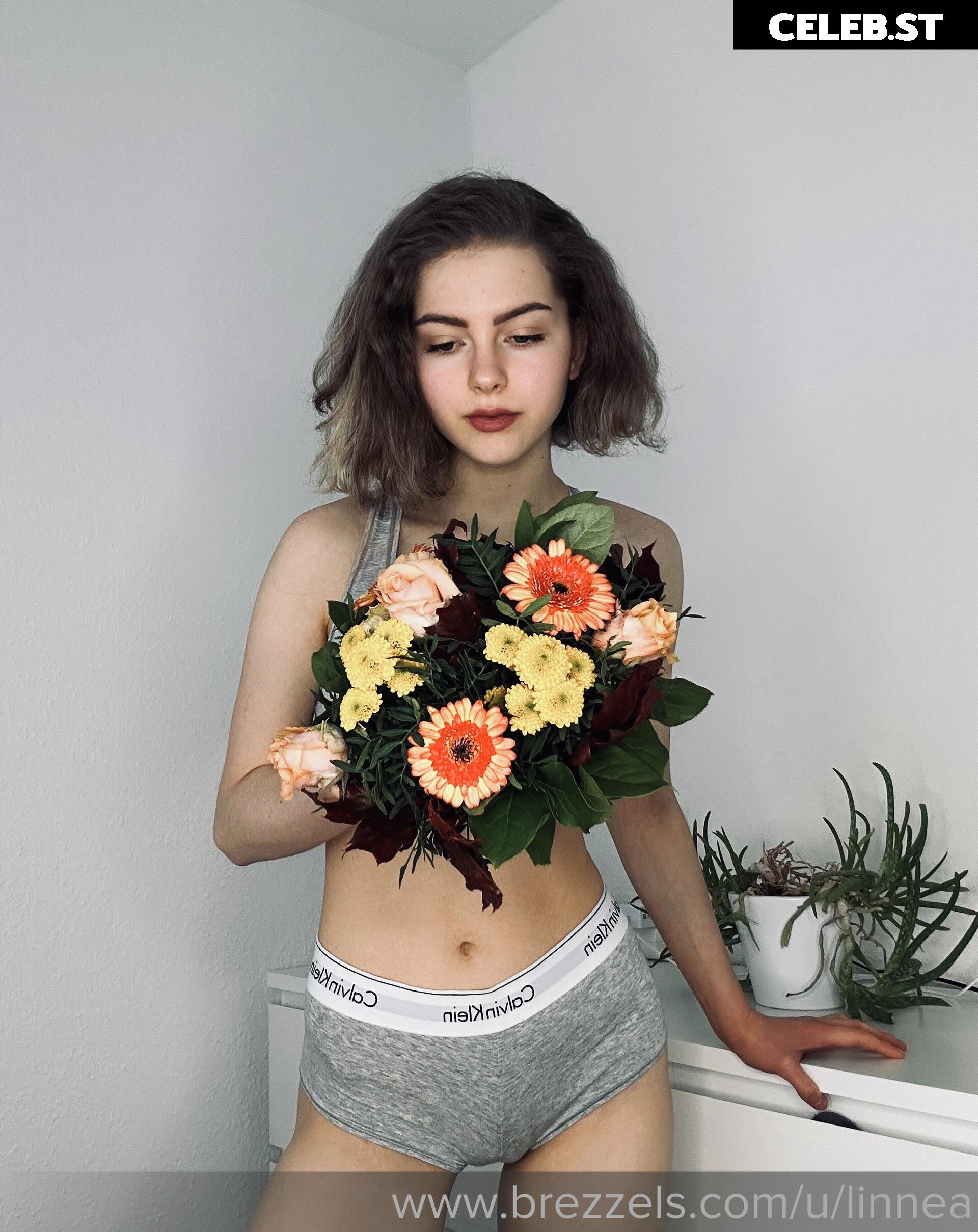 Linneasky Image 714669