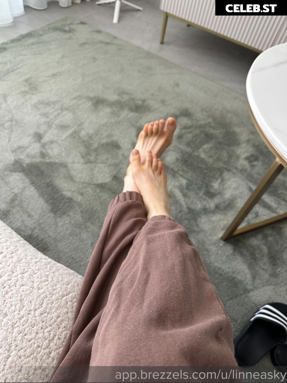 Linneasky Image 723754