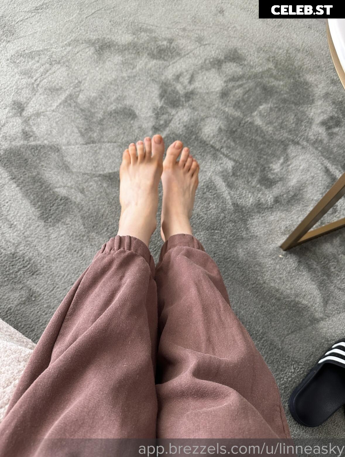 Linneasky Image 723736