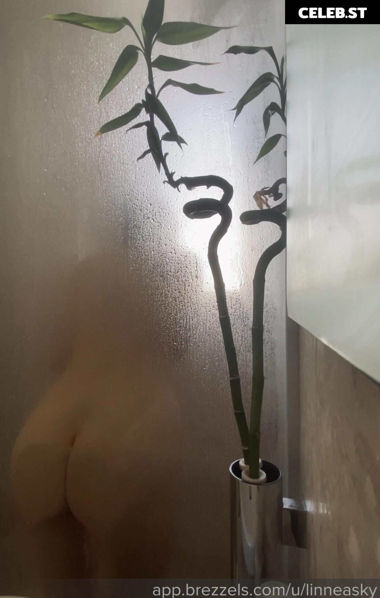 Linneasky Image 720731