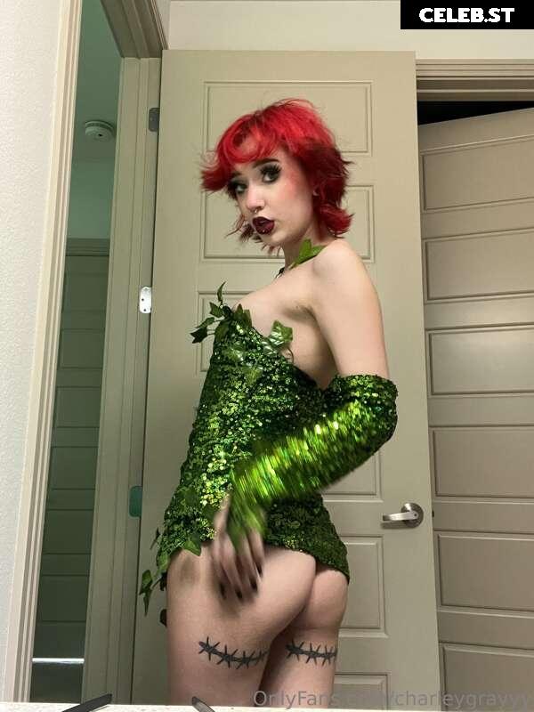 CharleyGrayyy Image 735300