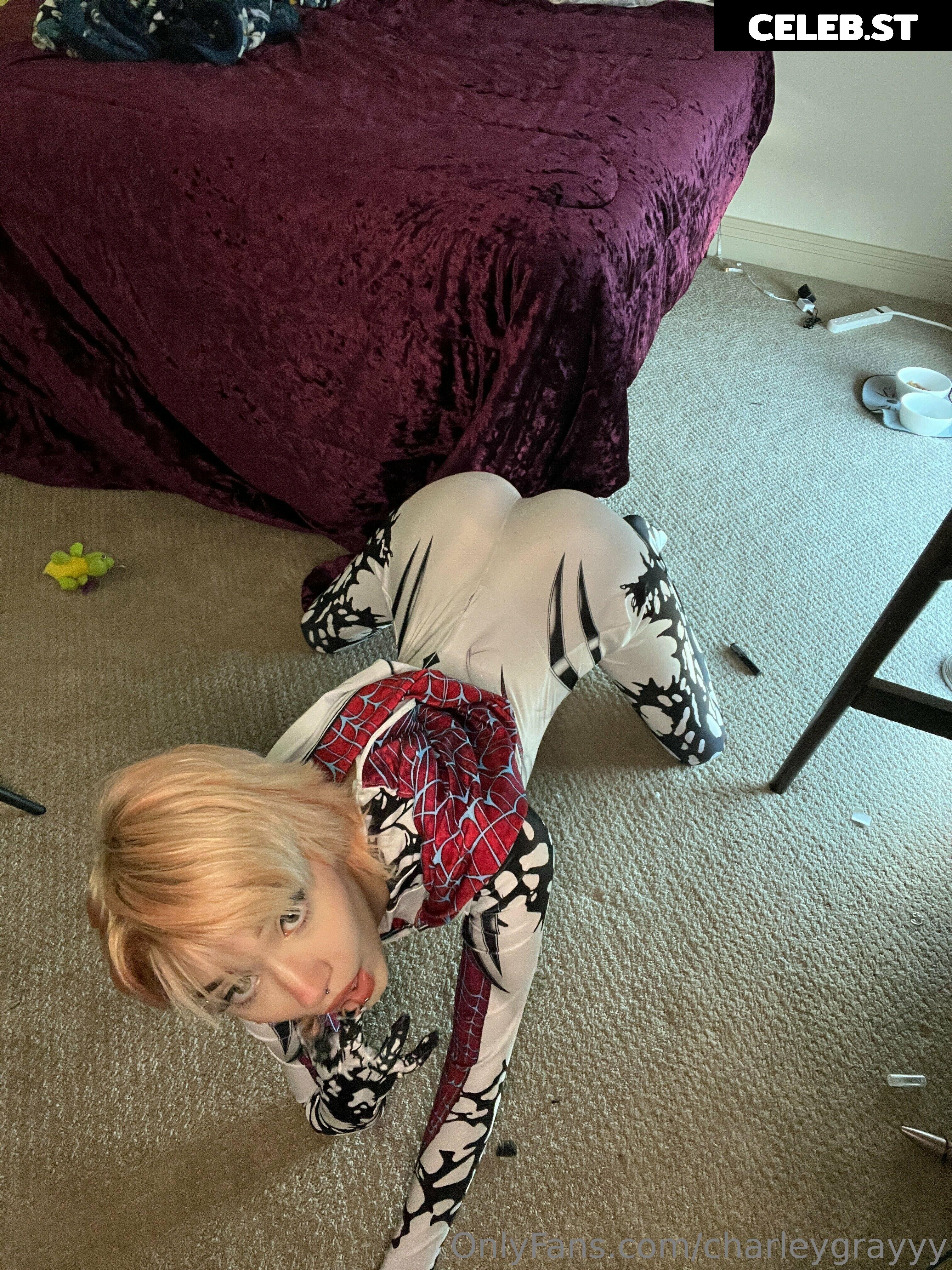 CharleyGrayyy Image 732968