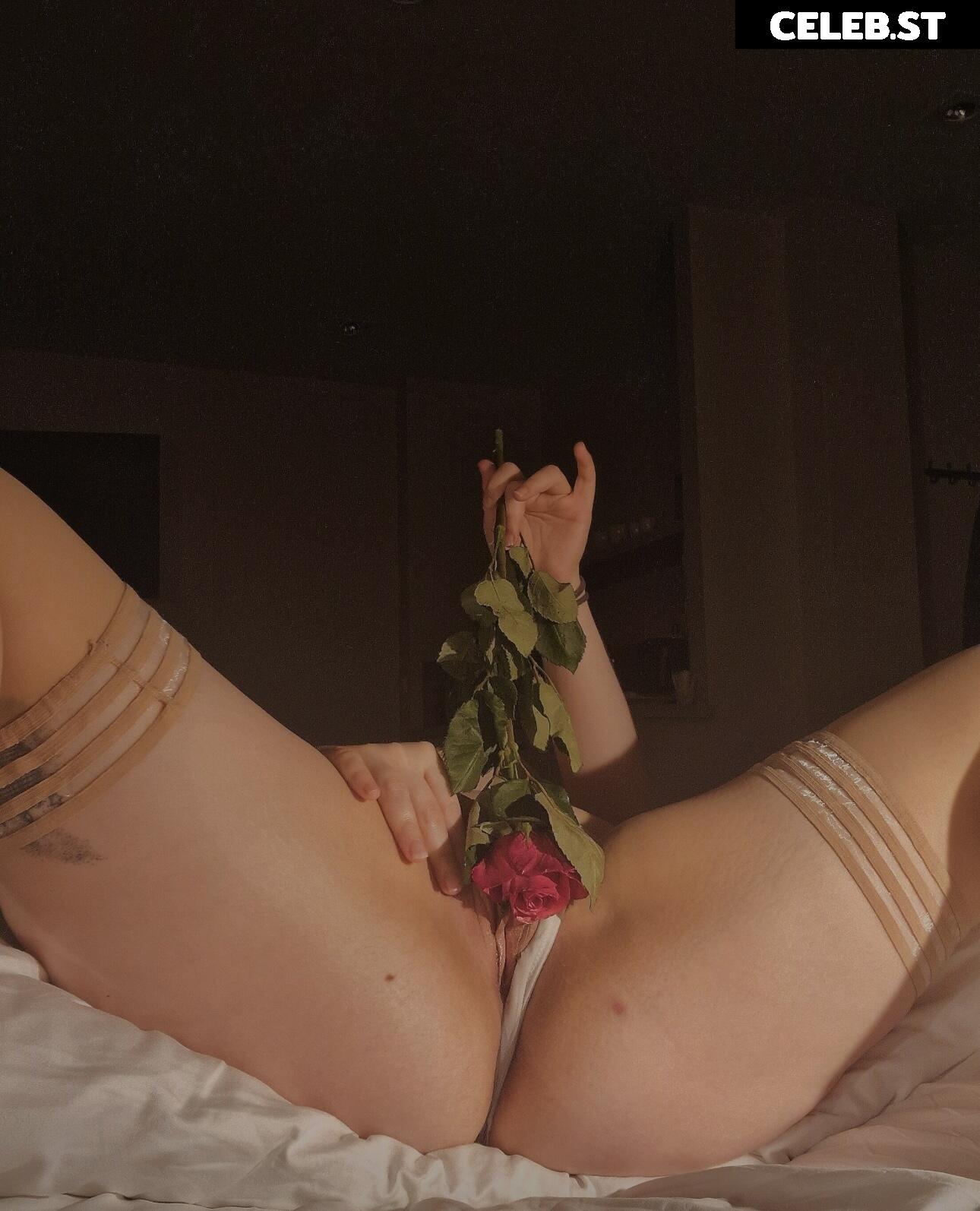 gschamig Image 76959