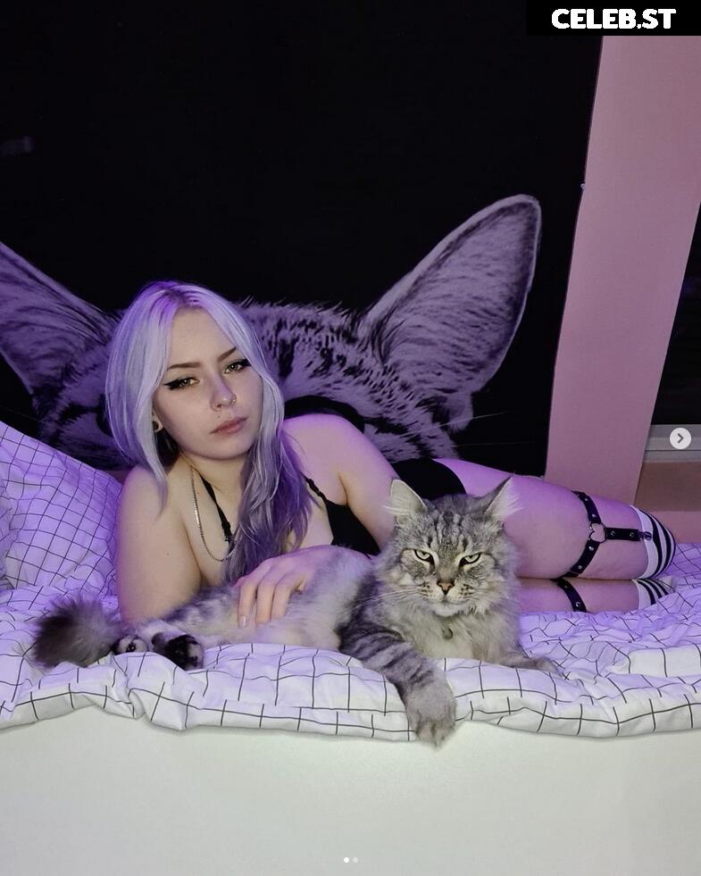 Meowiieh Image 702365