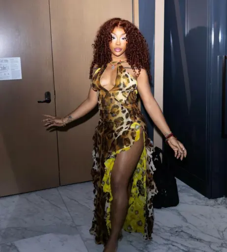 Image 9861885 from SZA | Solana Rowe