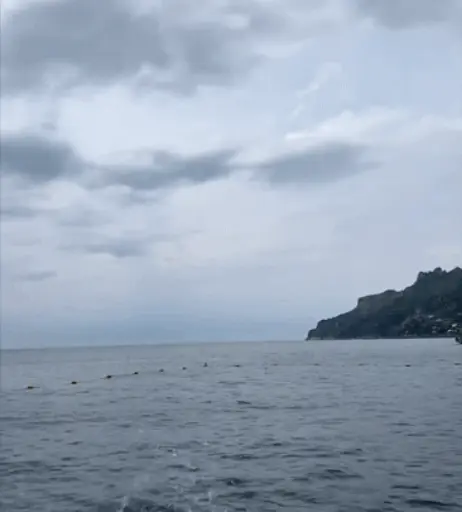 Image 9851918 from Lily Chee