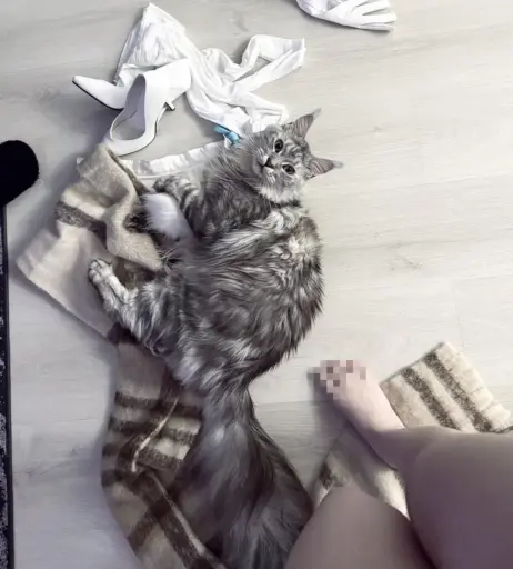 Image 9858786 from epicinternetgf