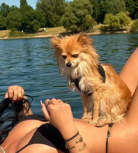 Image 9823642 from Zoë Chiara Wallner