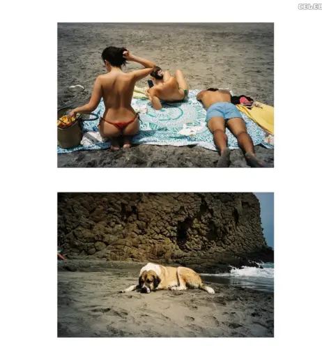 Image 9812651 from Dafne Keen