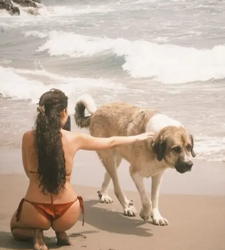 Image 9812618 from Dafne Keen