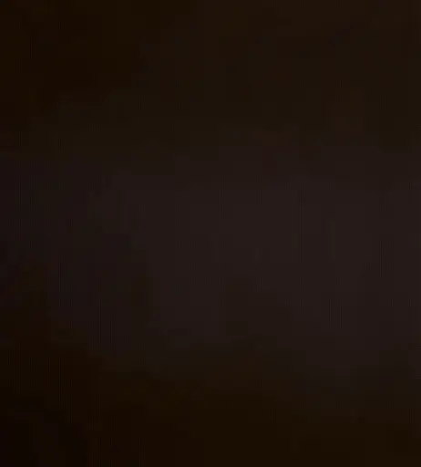 Image 9808869 from Josephine Welsch