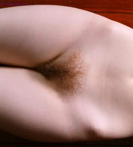 Image 9985208 from Abbywinters