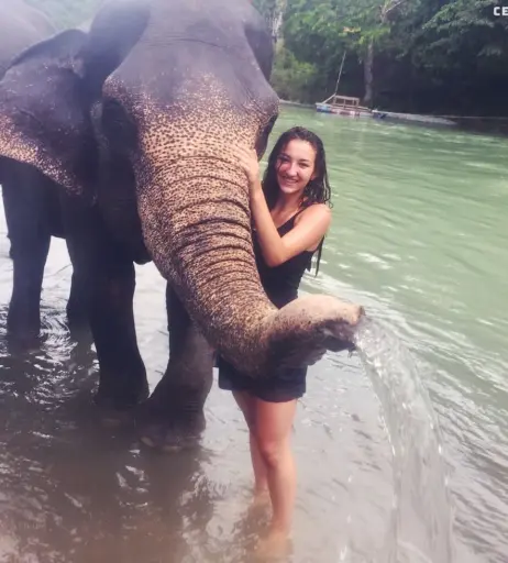 Image 9970904 from aylinkko