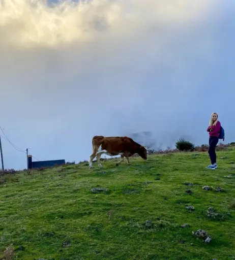 Image 9968381 from AoifeOneal