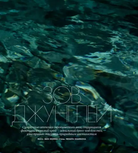 Image 9956554 from Stella Maxwell