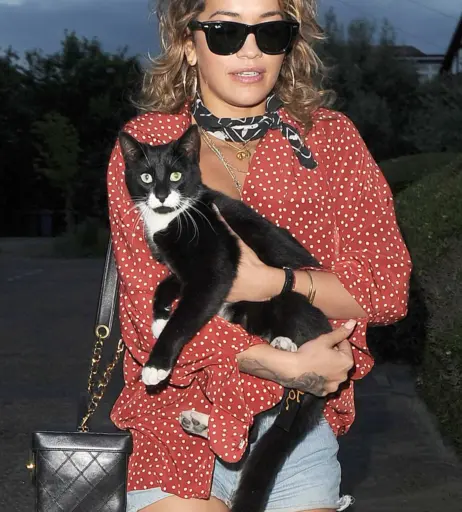 Image 9956487 from Rita Ora