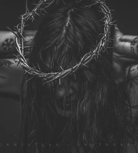 Image 9956136 from Sidney MK463165