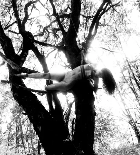 Image 9958613 from Calvato Photography - Patreon