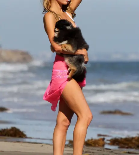 Image 9947598 from Paris Hilton