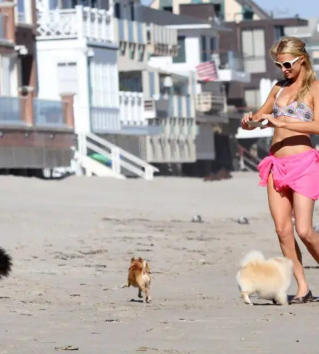 Image 9947622 from Paris Hilton