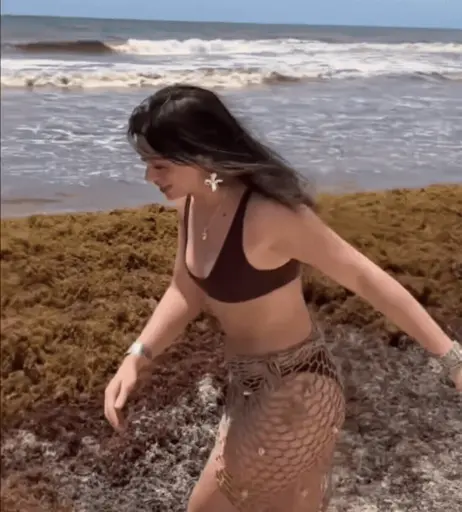 Image 9941184 from Tabitha Swatosh