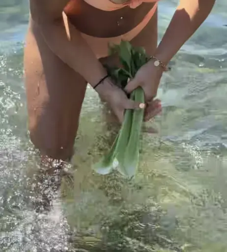 Image 9941063 from Joana Salamone