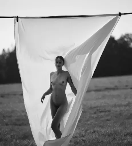 Image 9940870 from Charlotte.msd