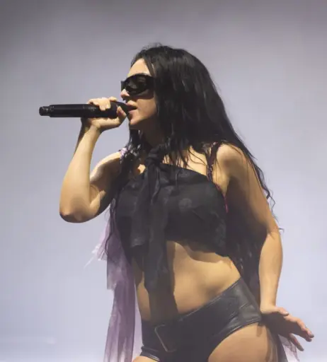 Image 9935599 from Charli XCX