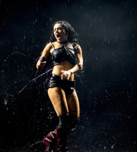 Image 9935619 from Charli XCX