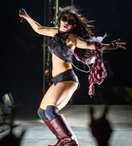 Image 9935612 from Charli XCX