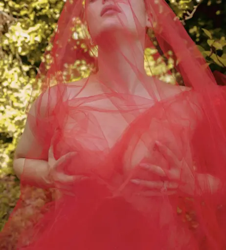 Image 949228 from Stefania Ferrario