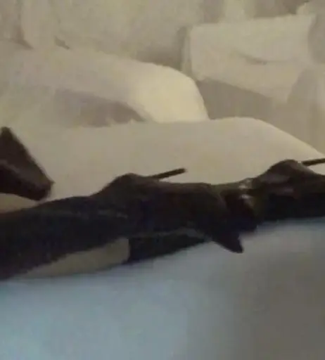 Image 9796493 from Kim Kardashian