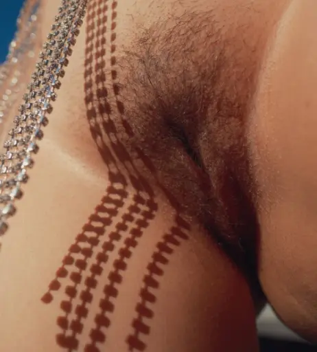 Image 978433 from Stefania Ferrario