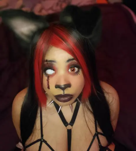 Image 9708785 from aaimztako