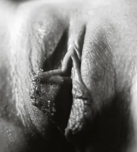 Image 2194608 from Calvato Photography - Patreon