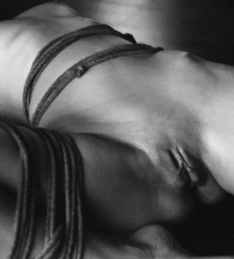 Image 2193981 from Calvato Photography - Patreon