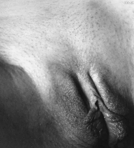 Image 2193920 from Calvato Photography - Patreon