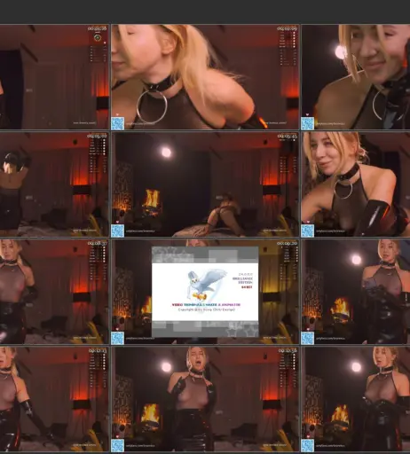 Image 219006 from Bronnica