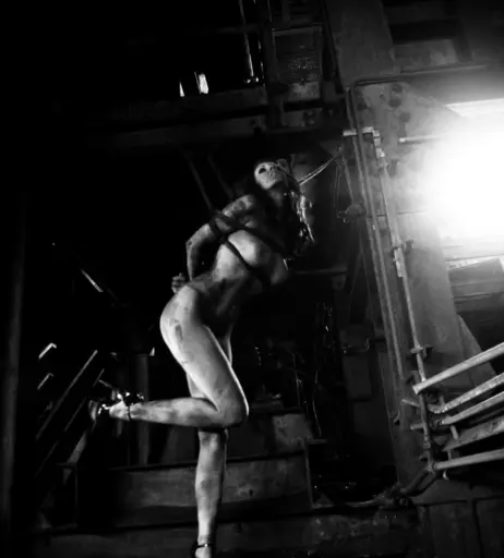 Image 2190258 from Calvato Photography - Patreon